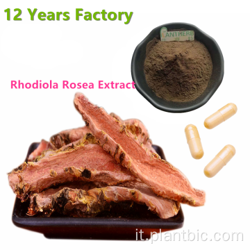 Estratto naturale di Rhodiola Rosea di elevata purezza Salidroside